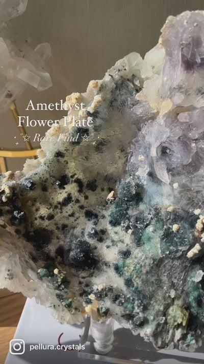 [Shangri-La] Statement Amethyst Flower Plate