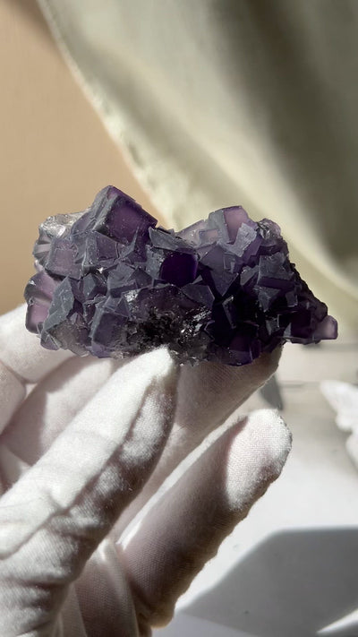 Dark Purple Fluorite Cluster 2