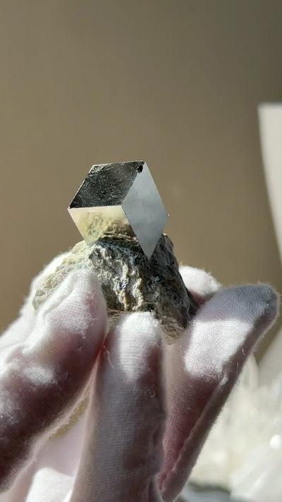 Cube Pyrite on Matrix (C)