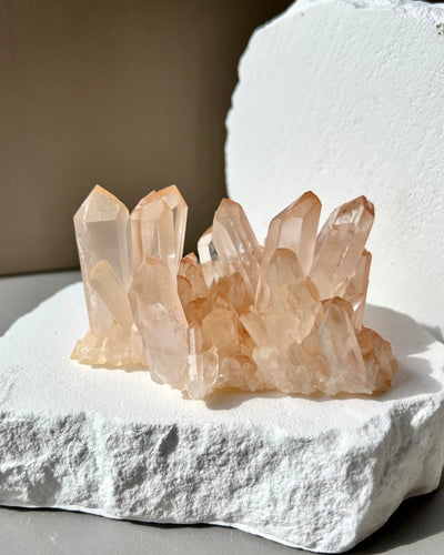 [Capricorn] Tangerine Pink Quartz Cluster