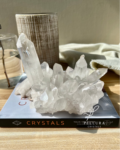 [The Swan] Statement Clear Quartz Cluster