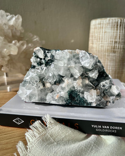 [Forest] Apophyllite & Stilbite on Dark Green Chalcedony