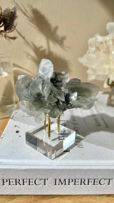 Shell Calcite
