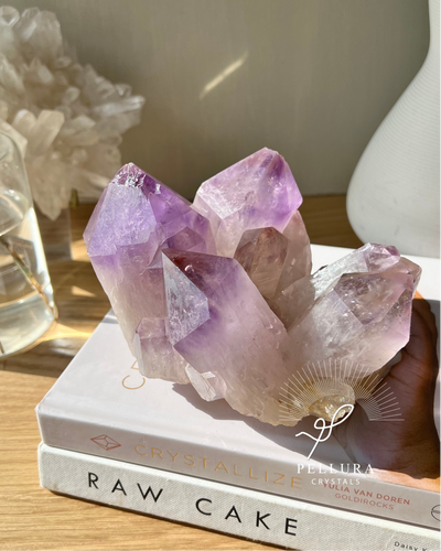 [Fae] Bolivian Amethyst Cluster