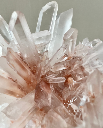 [Bloom] Pink Quartz Cluster