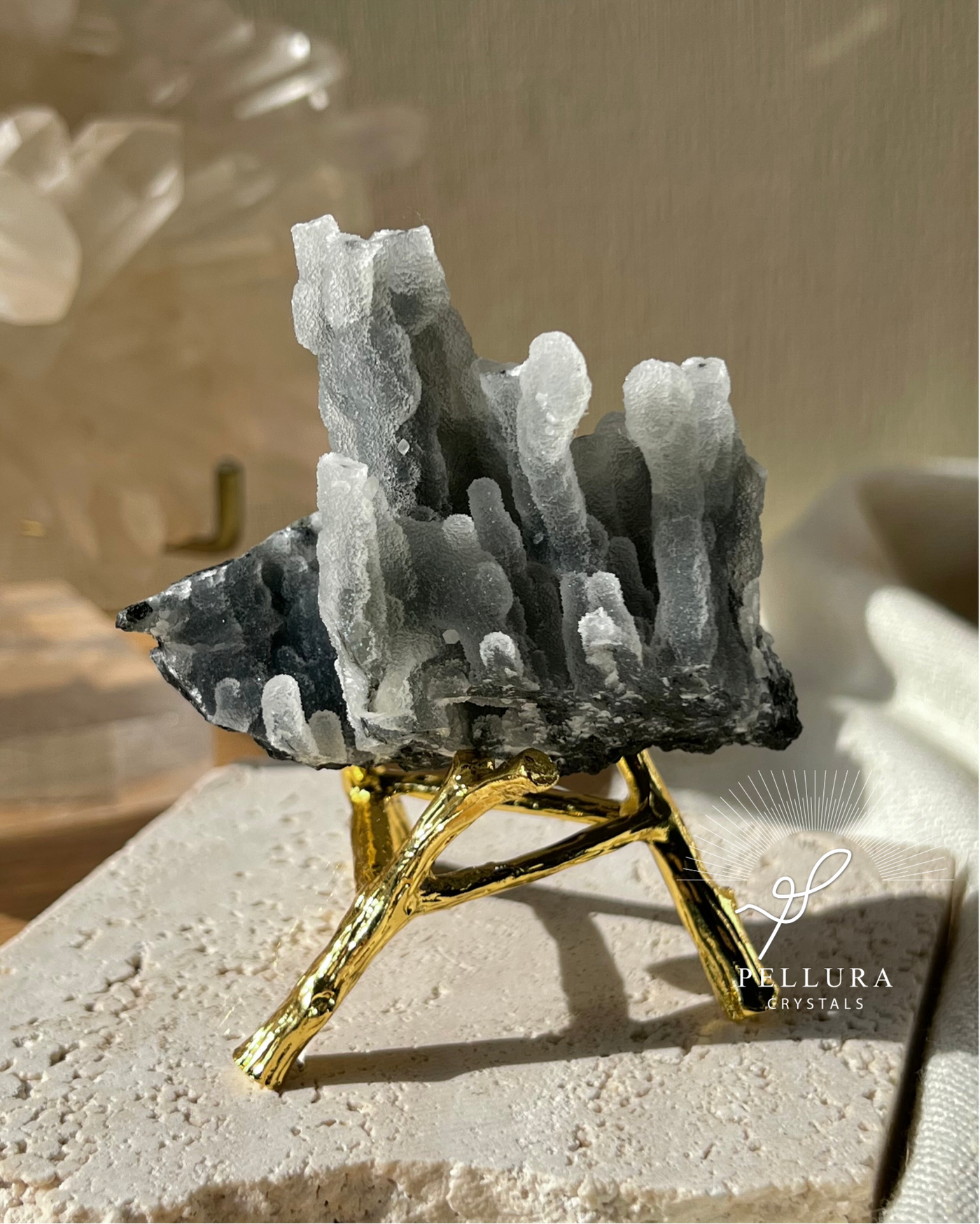 [Jet] Black Chalcedony Stalactites on Stand