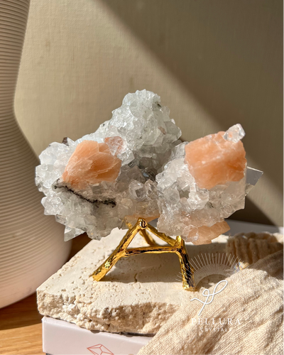 [Nectarine] Apophyllite with Stilbite Flower