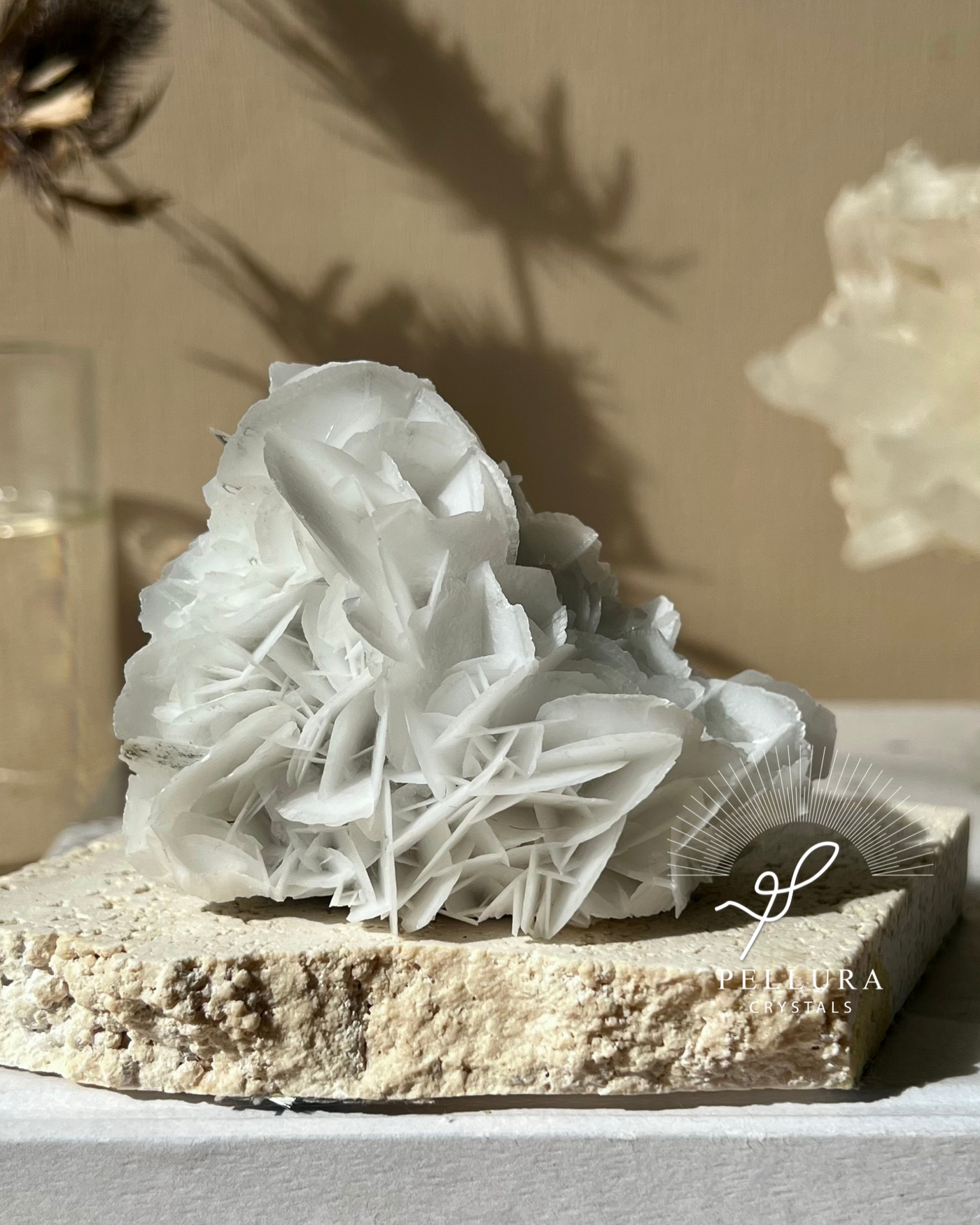 [Dew] White Rose Calcite