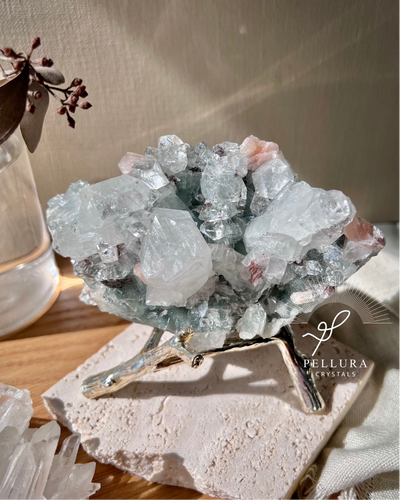 [Meadow] Apophyllite & Stilbite w Teal Chalcedony On Stand