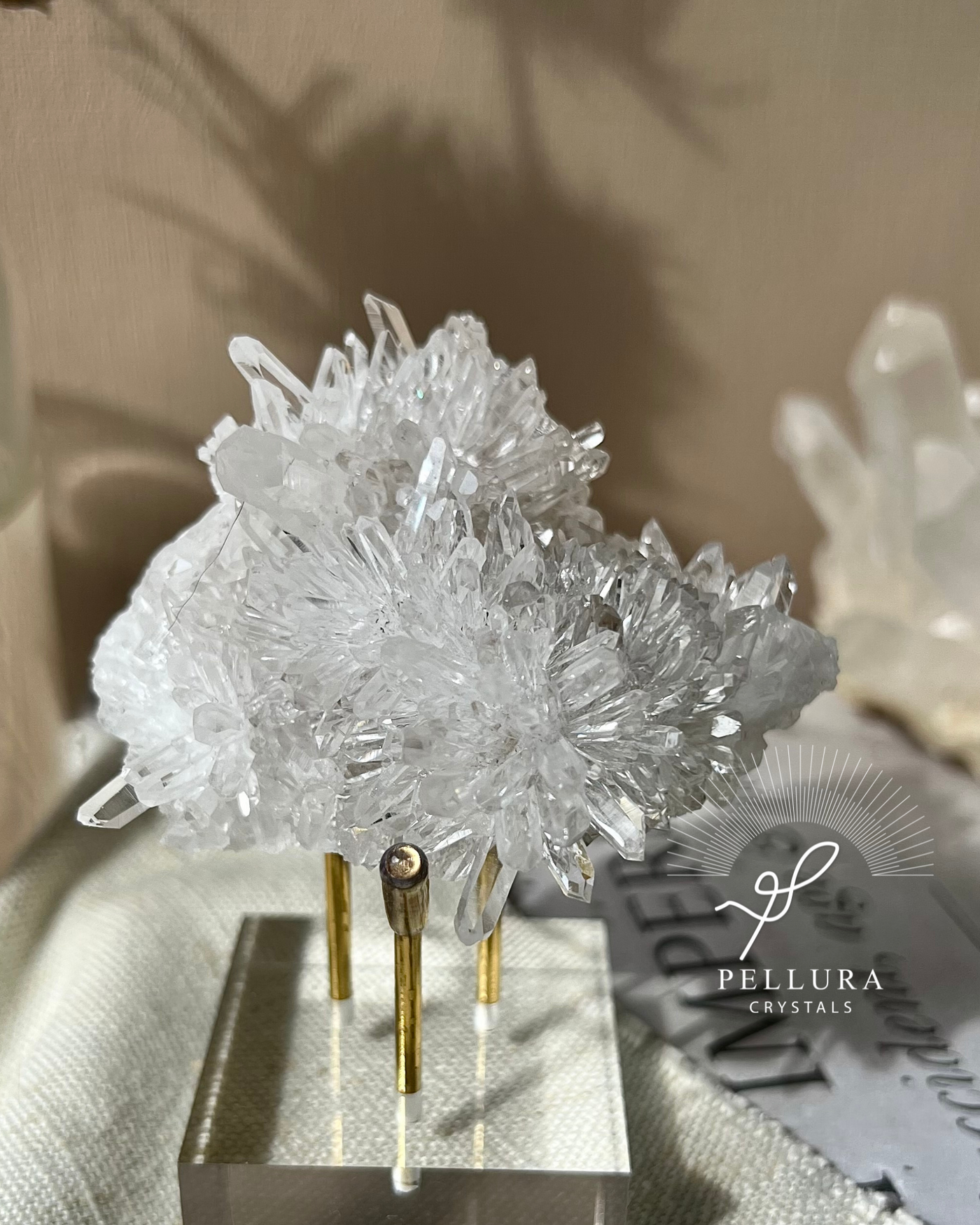 Crysanthemum Quartz Cluster CQ
