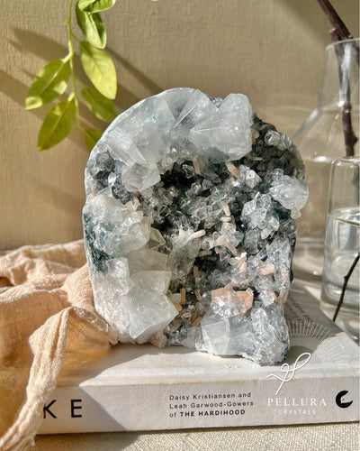 [Enchanted Forest] Apophyllite & Stilbite on Dark Green Chalcedony