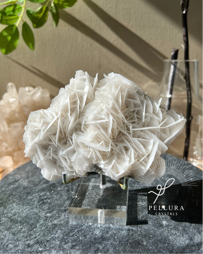 [Cleopatra] Elegant Rose Calcite on Stand