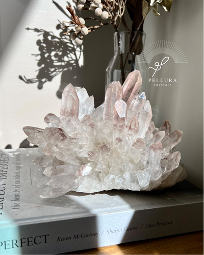 [Premium] Pink Tip Statement Clear Quartz Cluster