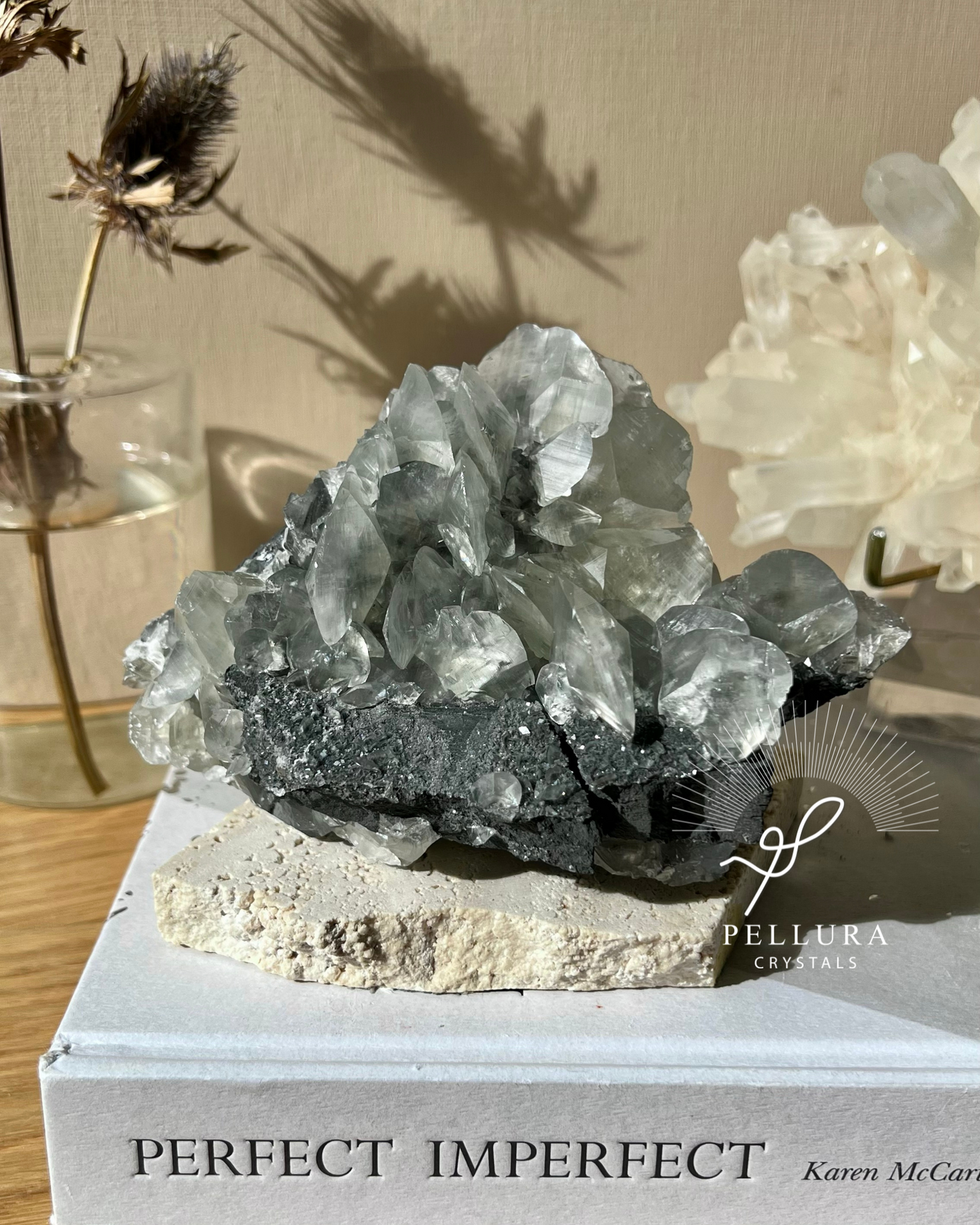 Shell Calcite