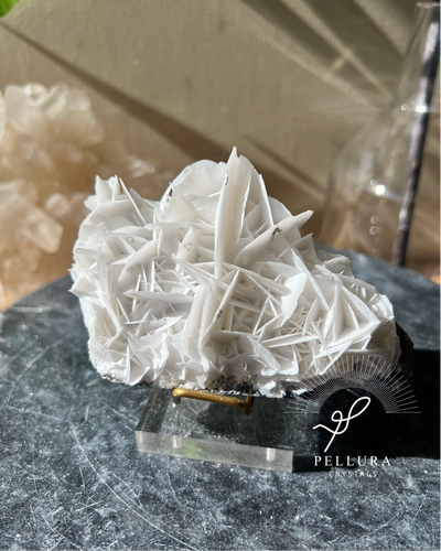 [Dahlia] Elegant Rose Calcite on Stand